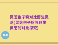 灵芝孢子粉对比野生灵芝(灵芝孢子粉与野生灵芝的对比探究)