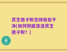 灵芝孢子粉怎样收拾干净(如何彻底清洁灵芝孢子粉？)