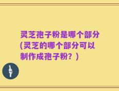 灵芝孢子粉是哪个部分(灵芝的哪个部分可以制作成孢子粉？)