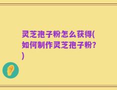灵芝孢子粉怎么获得(如何制作灵芝孢子粉？)