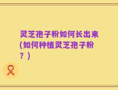 灵芝孢子粉如何长出来(如何种植灵芝孢子粉？)