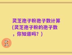 灵芝孢子粉孢子数计算(灵芝孢子粉的孢子数，你知道吗？)