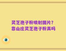 灵芝孢子粉喷射图片？靠山庄灵芝孢子粉真吗