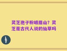 灵芝孢子粉峨眉山？灵芝是古代人说的仙草吗