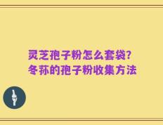 灵芝孢子粉怎么套袋？冬荪的孢子粉收集方法