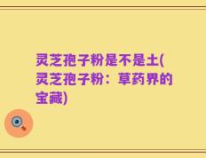 灵芝孢子粉是不是土(灵芝孢子粉：草药界的宝藏)