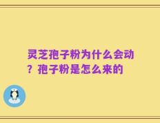 灵芝孢子粉为什么会动？孢子粉是怎么来的