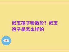 灵芝孢子粉散於？灵芝孢子是怎么样的