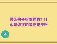 灵芝孢子粉啥样的？什么是纯正的灵芝孢子粉
