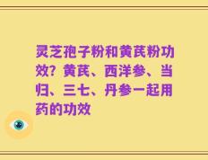 灵芝孢子粉和黄芪粉功效？黄芪、西洋参、当归、三七、丹参一起用药的功效