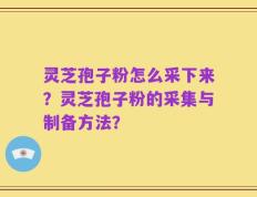 灵芝孢子粉怎么采下来？灵芝孢子粉的采集与制备方法？