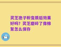 灵芝孢子粉变质后效果好吗？灵芝磨碎了像棉絮怎么保存