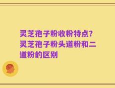 灵芝孢子粉收粉特点？灵芝孢子粉头道粉和二道粉的区别