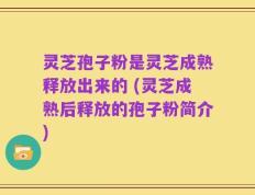 灵芝孢子粉是灵芝成熟释放出来的 (灵芝成熟后释放的孢子粉简介)