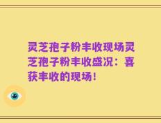 灵芝孢子粉丰收现场灵芝孢子粉丰收盛况：喜获丰收的现场！
