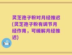 灵芝孢子粉对月经推迟(灵芝孢子粉有调节月经作用，可缓解月经推迟)