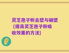 灵芝孢子粉去壁与破壁 (提高灵芝孢子粉吸收效果的方法)