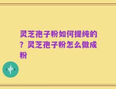 灵芝孢子粉如何提纯的？灵芝孢子粉怎么做成粉