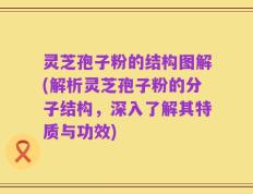 灵芝孢子粉的结构图解(解析灵芝孢子粉的分子结构，深入了解其特质与功效)