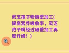 灵芝孢子粉破壁加工(提高营养吸收率，灵芝孢子粉经过破壁加工再度升级！)