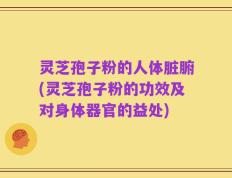 灵芝孢子粉的人体脏腑(灵芝孢子粉的功效及对身体器官的益处)