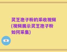 灵芝孢子粉的采收视频(视频展示灵芝孢子粉如何采集)
