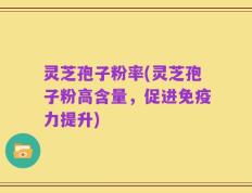 灵芝孢子粉率(灵芝孢子粉高含量，促进免疫力提升)