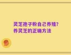 灵芝孢子粉自己养殖？养灵芝的正确方法