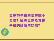 灵芝孢子粉与灵芝哪个金贵？解析灵芝及其孢子粉的价值与功效？