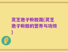 灵芝孢子粉胶蔑(灵芝孢子粉胶的营养与功效)