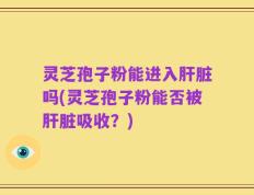 灵芝孢子粉能进入肝脏吗(灵芝孢子粉能否被肝脏吸收？)