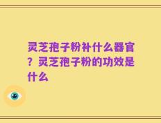 灵芝孢子粉补什么器官？灵芝孢子粉的功效是什么