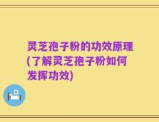 灵芝孢子粉的功效原理(了解灵芝孢子粉如何发挥功效)