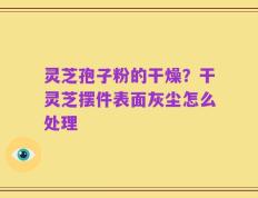 灵芝孢子粉的干燥？干灵芝摆件表面灰尘怎么处理