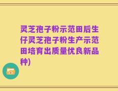 灵芝孢子粉示范田后生仔灵芝孢子粉生产示范田培育出质量优良新品种)