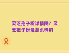 灵芝孢子粉详情图？灵芝孢子粉是怎么样的