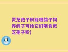 灵芝孢子粉能喂鸽子饲养鸽子可给它们喂食灵芝孢子粉)