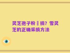 灵芝孢子粉釆摘？雪灵芝的正确采摘方法