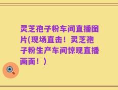 灵芝孢子粉车间直播图片(现场直击！灵芝孢子粉生产车间惊现直播画面！)
