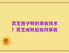 灵芝孢子粉的采收技术？灵芝成熟后如何采收