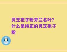 灵芝孢子粉芬兰名叶？什么是纯正的灵芝孢子粉