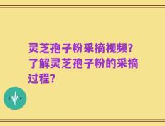 灵芝孢子粉采摘视频？了解灵芝孢子粉的采摘过程？
