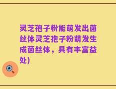灵芝孢子粉能萌发出菌丝体灵芝孢子粉萌发生成菌丝体，具有丰富益处)
