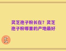 灵芝孢子粉长在？灵芝孢子粉哪里的产地最好