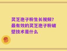 灵芝孢子粉生长视频？最有效的灵芝孢子粉破壁技术是什么