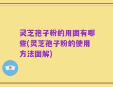 灵芝孢子粉的用图有哪些(灵芝孢子粉的使用方法图解)