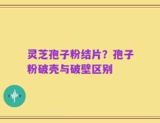 灵芝孢子粉结片？孢子粉破壳与破壁区别