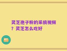 灵芝孢子粉的采摘视频？灵芝怎么吃好