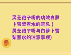 灵芝孢子粉的功效白萝卜雪梨煮水的禁忌 (灵芝孢子粉与白萝卜雪梨煮水的注意事项)