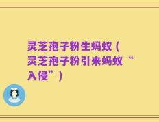 灵芝孢子粉生蚂蚁 (灵芝孢子粉引来蚂蚁“入侵”)